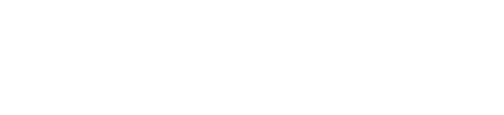 everking title-white.png